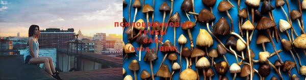 круглые Алзамай