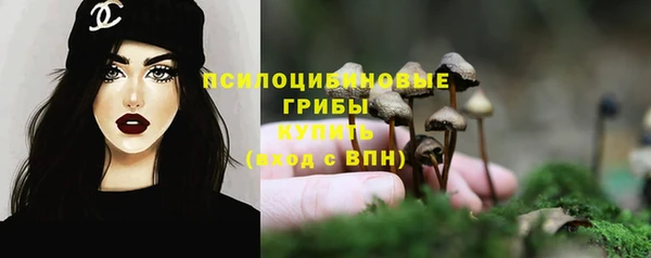 круглые Алзамай