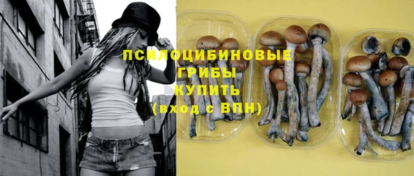 круглые Алзамай